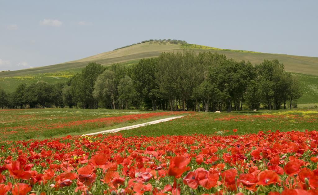 Agriturismo Lunadoro Монтіккєлльо Екстер'єр фото